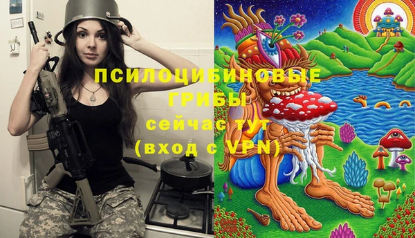 ECSTASY Дмитров