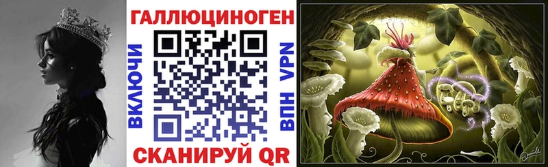 Купить где  Славгород  Галлюциногенные грибы Psilocybe 